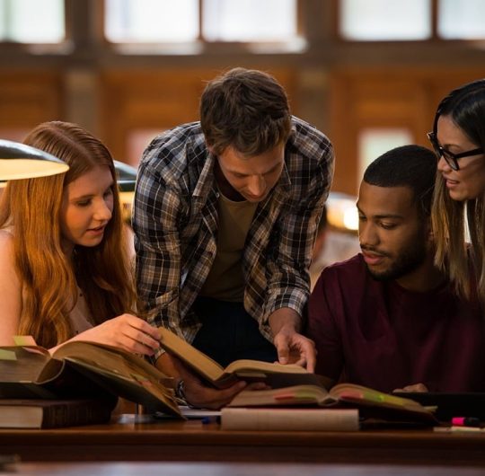 about-studybg